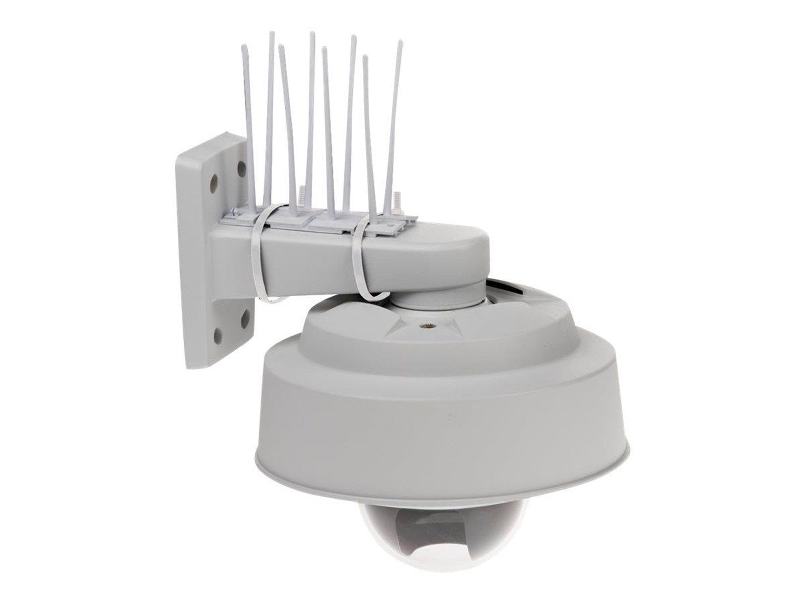 Axis Bird Control Spike