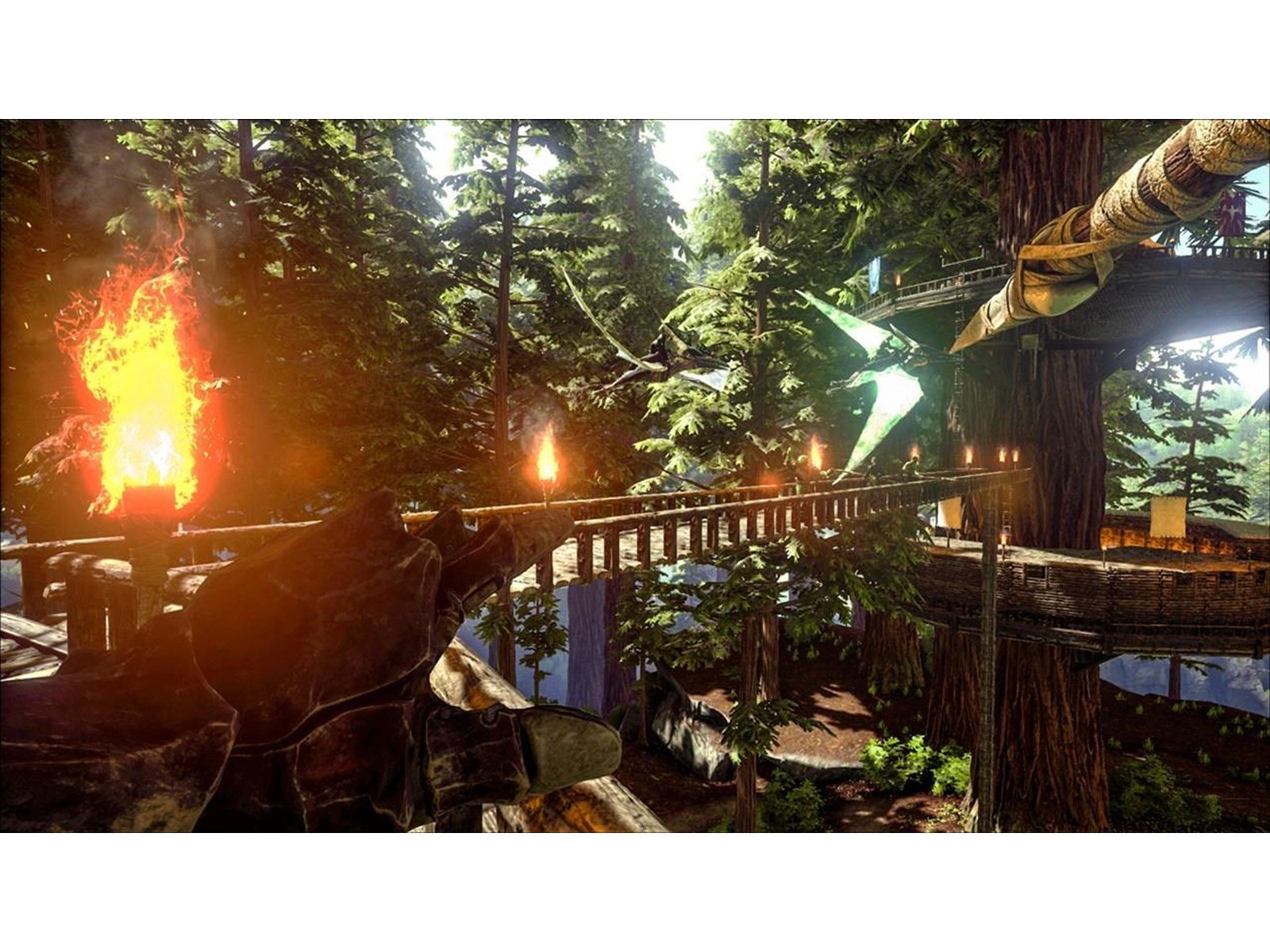 ARK: Survival Evolved (Code in a Box) - Nintendo Switch - Action/Abenteuer - PEGI 16