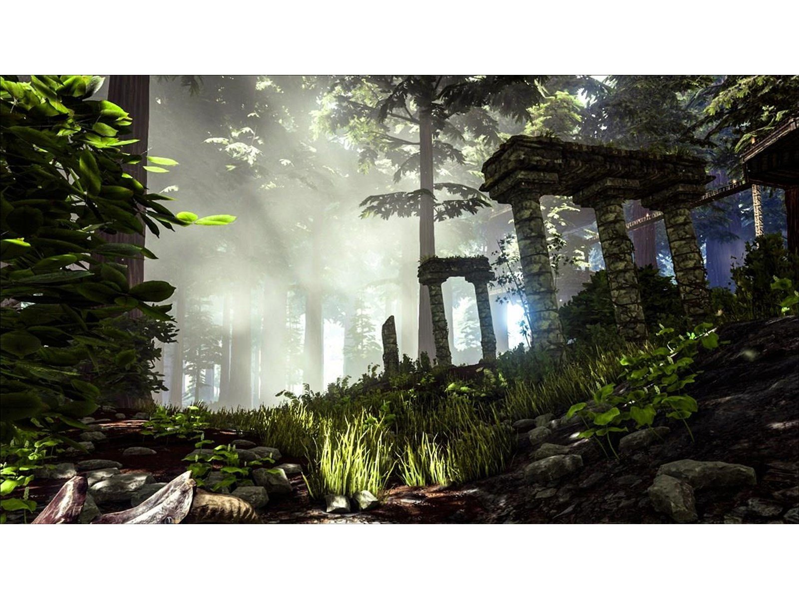 ARK: Survival Evolved (Code in a Box) - Nintendo Switch - Action/Abenteuer - PEGI 16