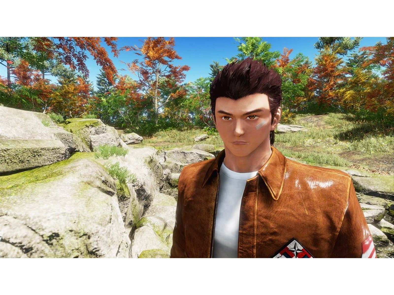 Bosch HULSAV HSS BIM POWERCHANGE 79MM