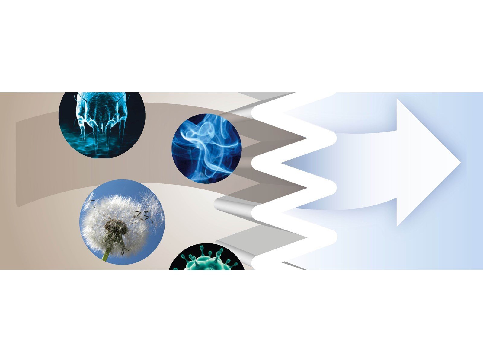 Bosch UltraAllergy filter BBZ156UF