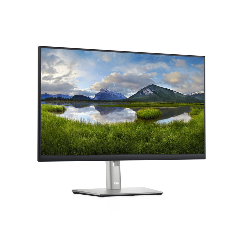 Dell 60.5cm (23,8") P2422H  16:09 HDMI+DP+USB IPS Lift