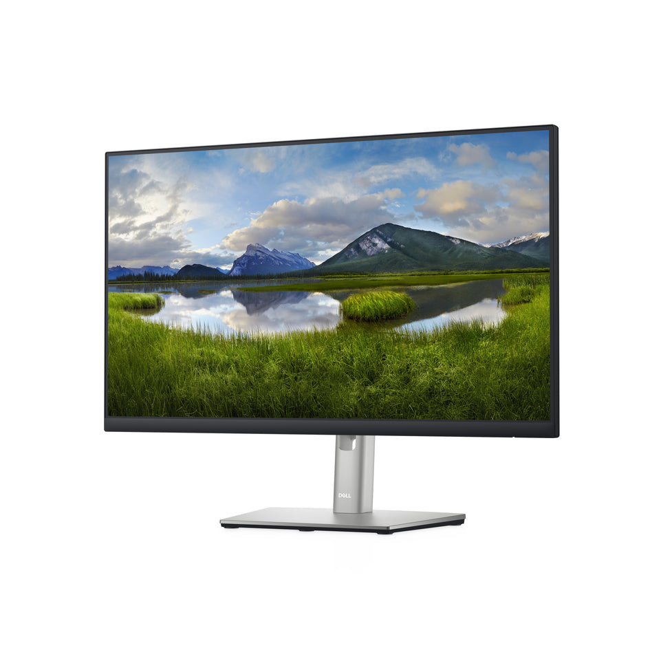 Dell 60.5cm (23,8") P2422H  16:09 HDMI+DP+USB IPS Lift