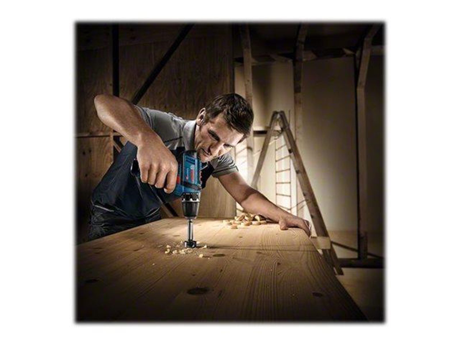 Bosch Professional Blue bosch 12v cordless drill driver gsr 12v-15 w/2x2ah cha