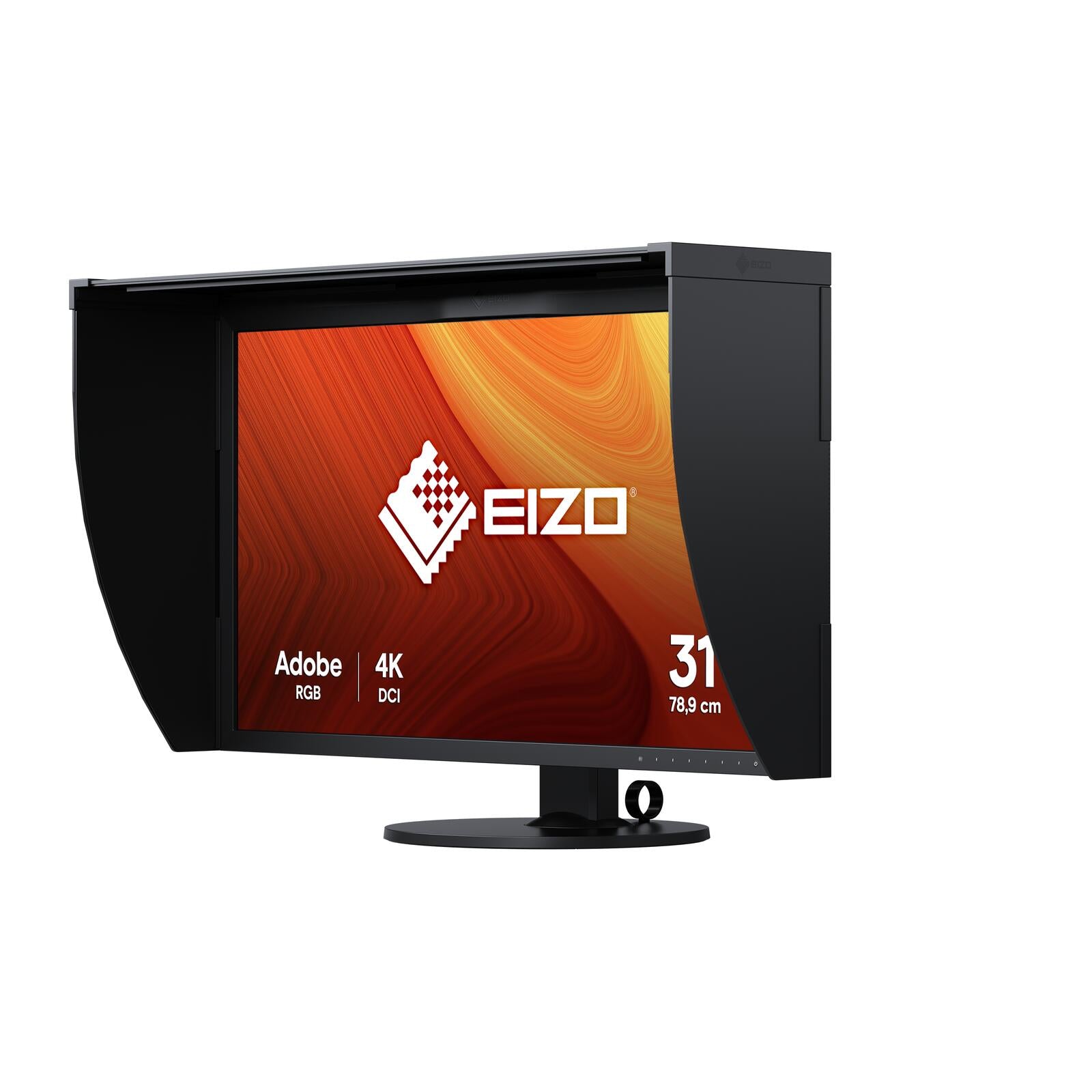 EIZO ColorEdge CG319X Grafik LED-Monitor 79 cm 31,1 Zoll schwarz