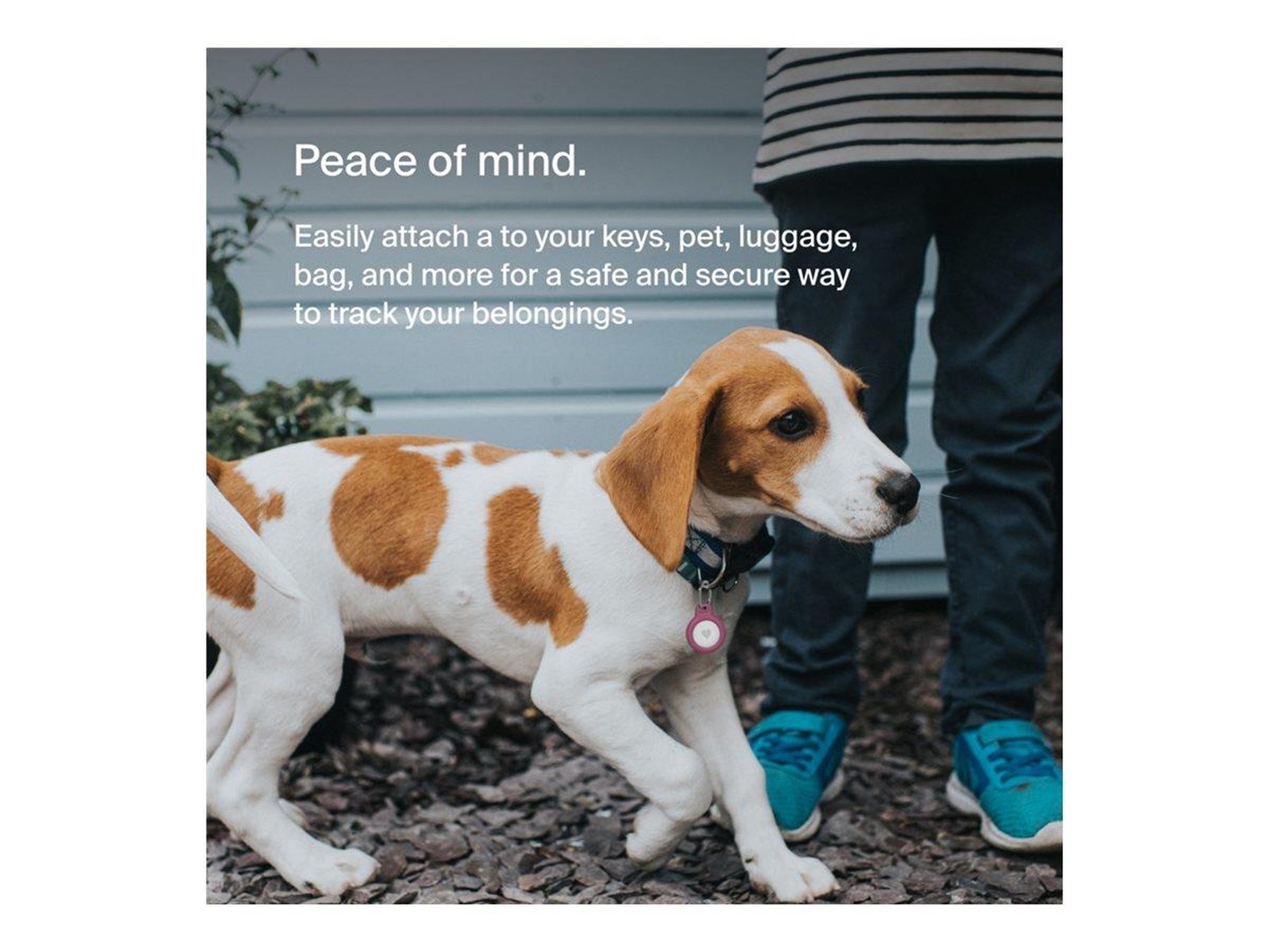 Belkin Secure Holder with Keyring - Pink