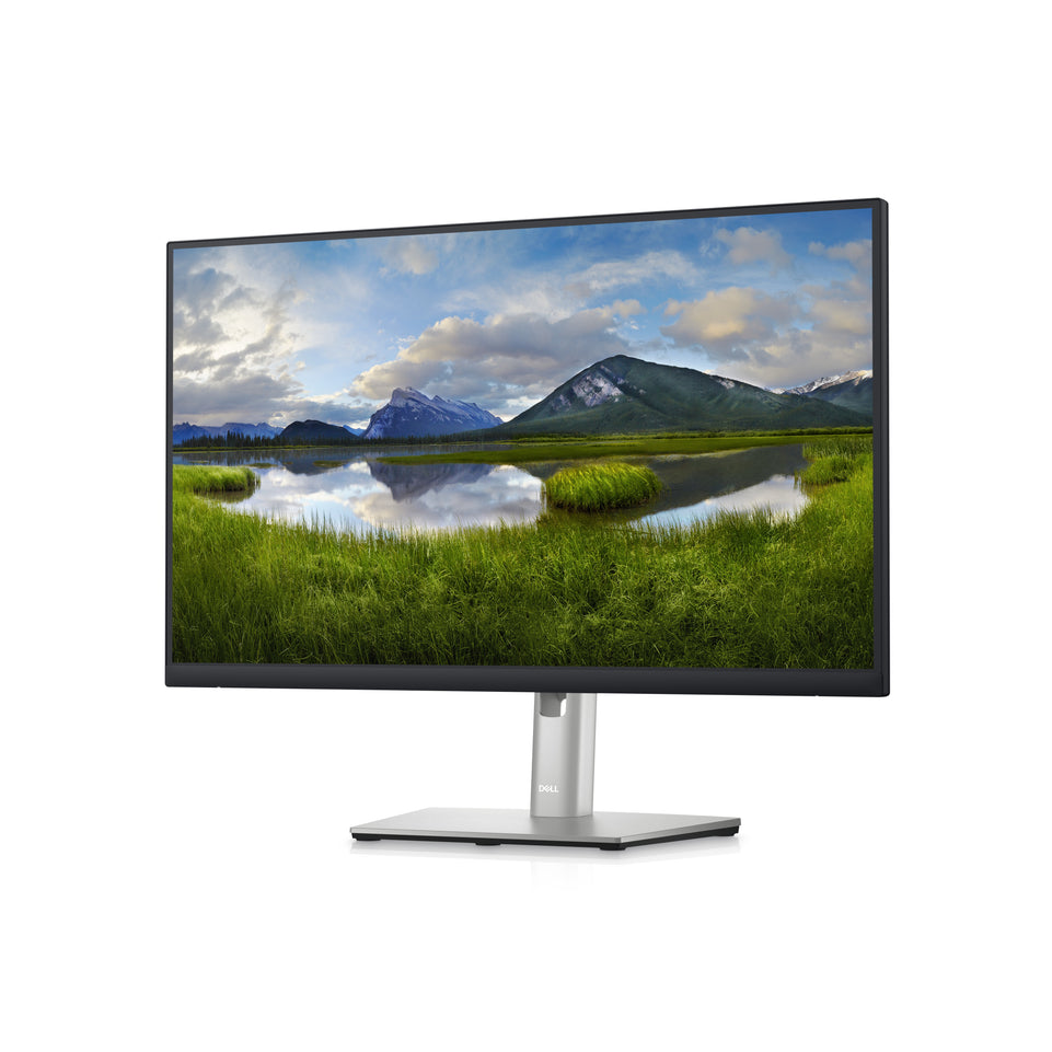 Dell 61.0cm (24")   P2423DE 16:9  HDMI+DP+USB-C IPS Lift