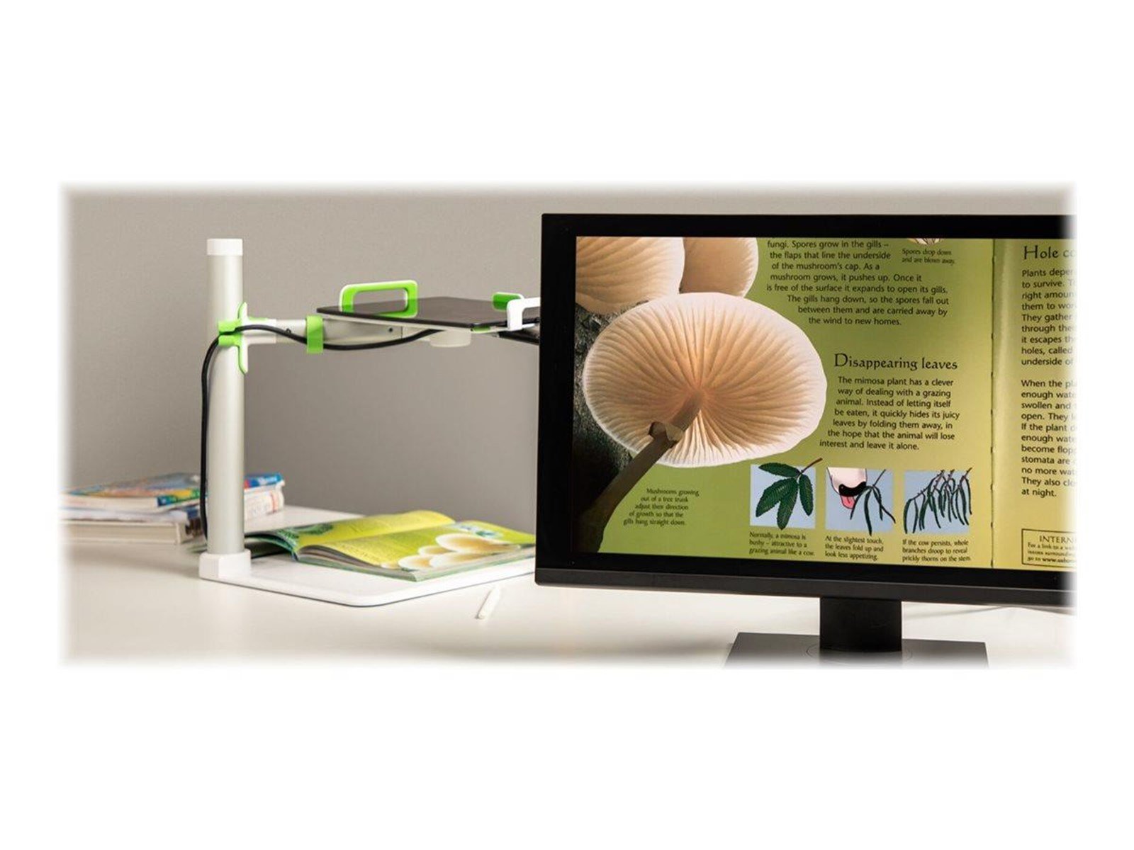 Belkin Tablet Stage 2.0