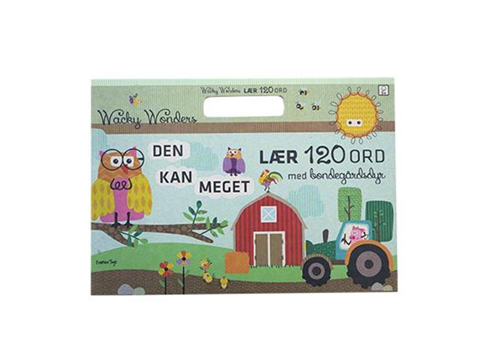 Barbo Toys Wacky Wonders - 120 words - Activity Book w Stickers - DK
