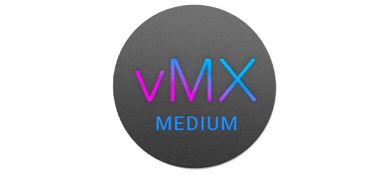Cisco Lizenz VMX Enterprise M 1 Jahr