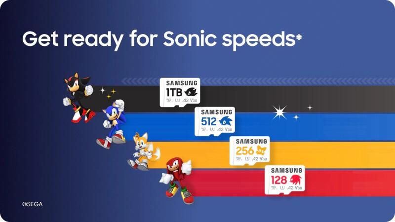 Samsung Sonic MicroSD Speicherkarte 256GB