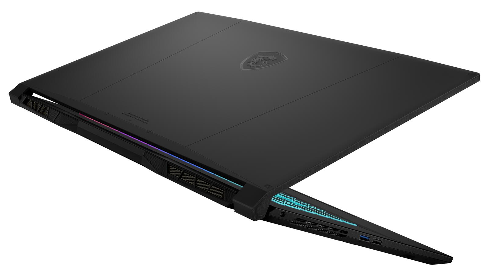 MSI Katana 17 B13VFK-442 Intel Core i7 13620H Notebook 43,9 cm (17.3')