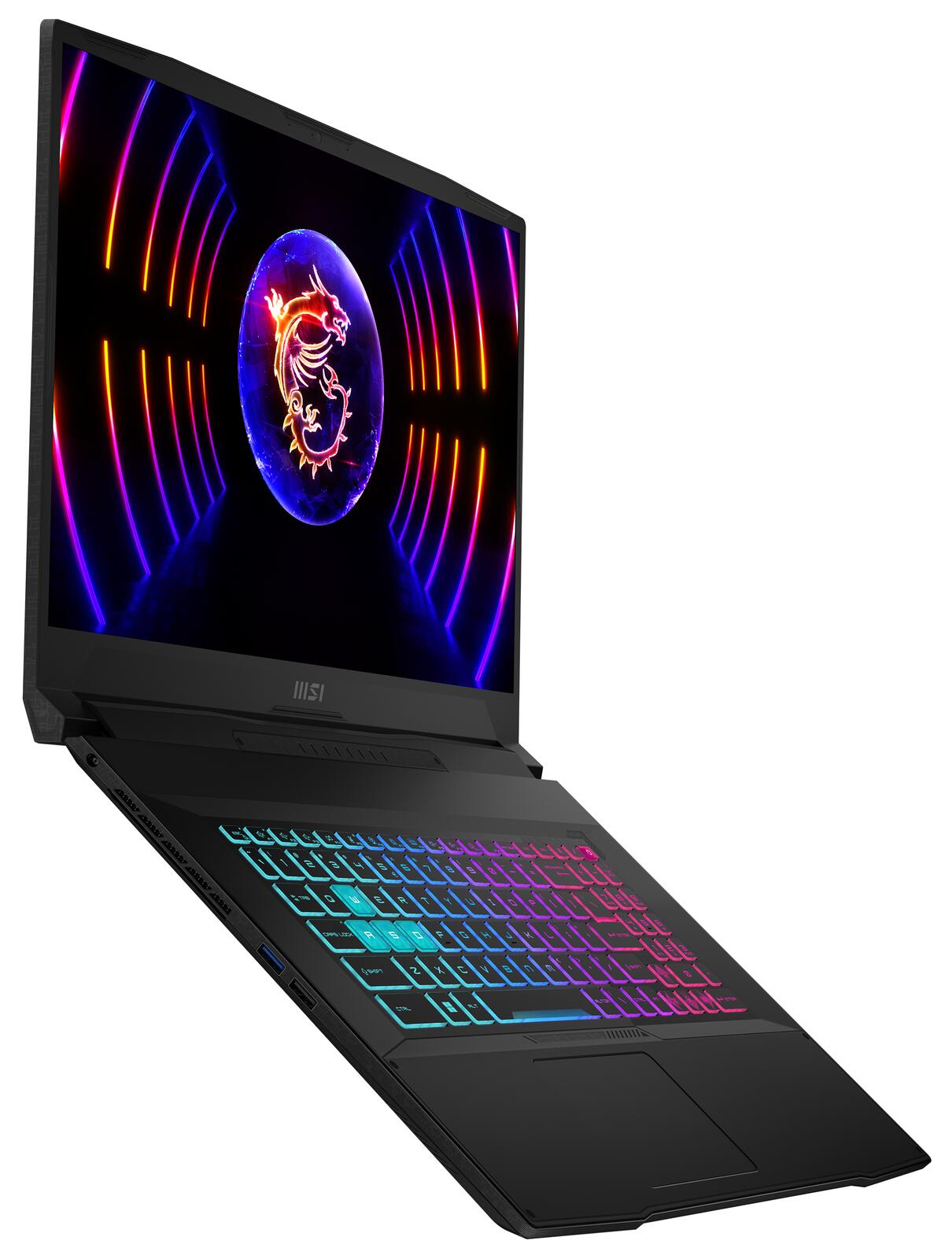 MSI Katana 17 B13VFK-442 Intel Core i7 13620H Notebook 43,9 cm (17.3')