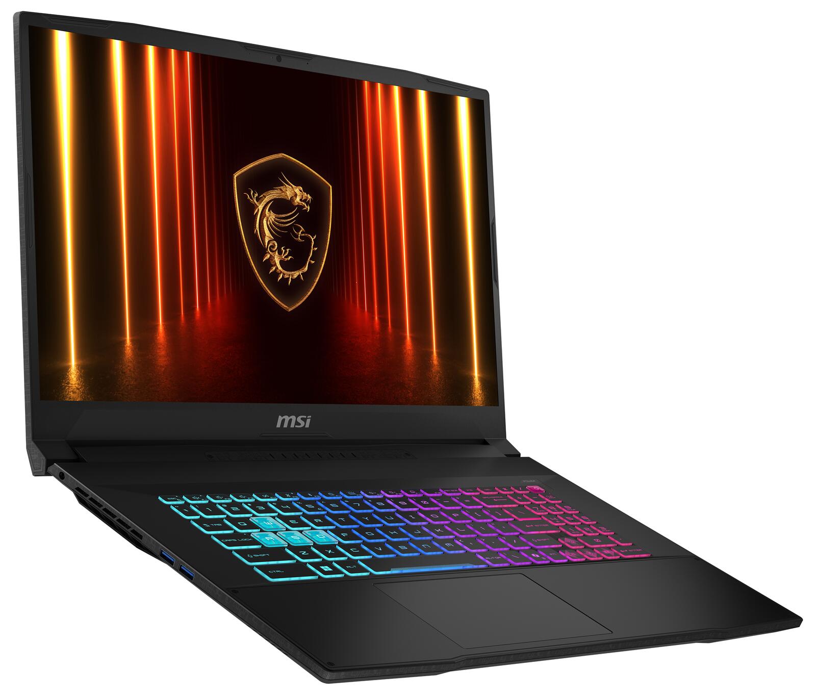 MSI Katana 17 HX B14WGK-065 Intel Core i7-14650HX Gaming Notebook 43,9 cm (17,3')