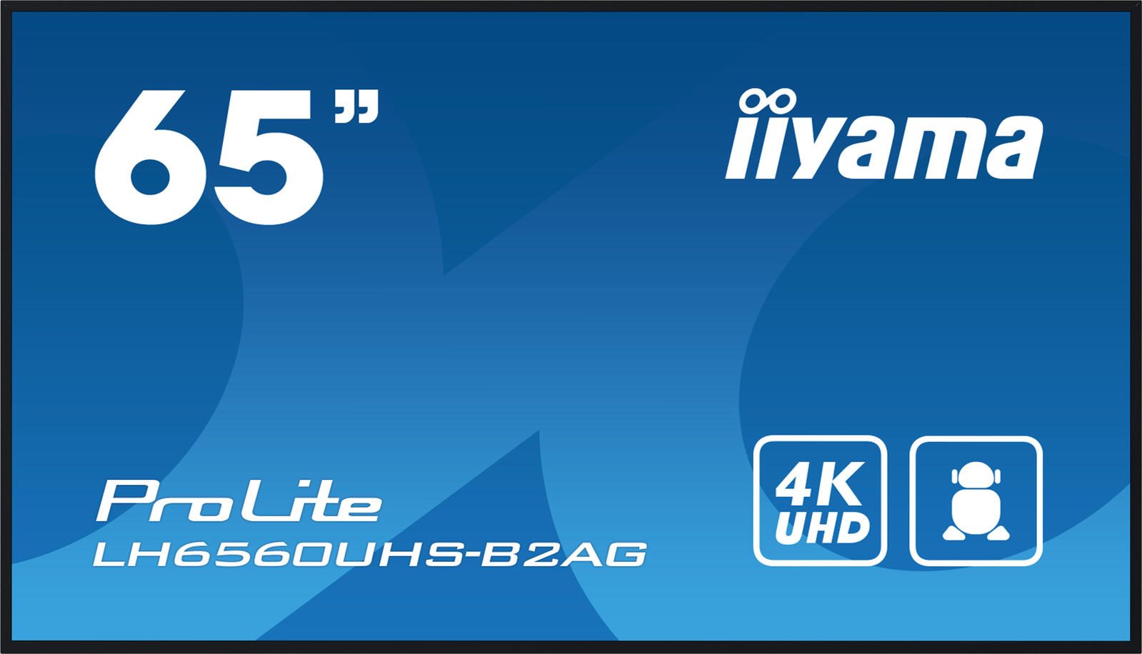 Iiyama ProLite LH6560UHS-B2AG Signage Display 164cm (64,5 Zoll)