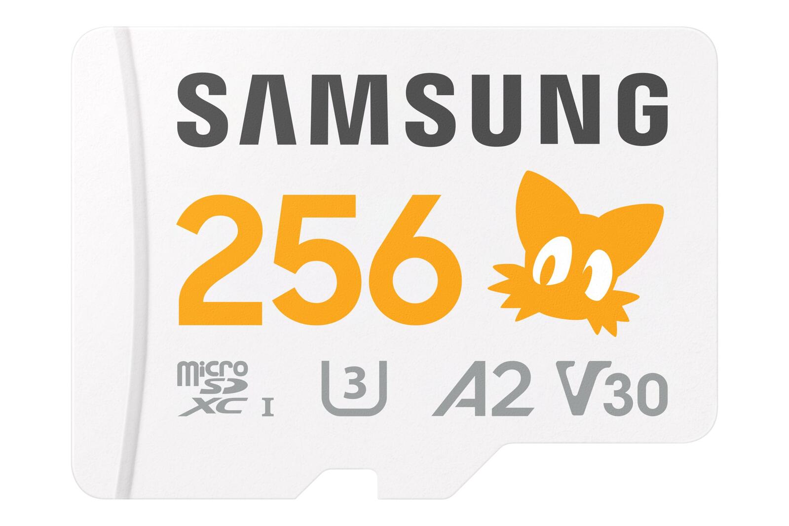 Samsung Sonic MicroSD Speicherkarte 256GB