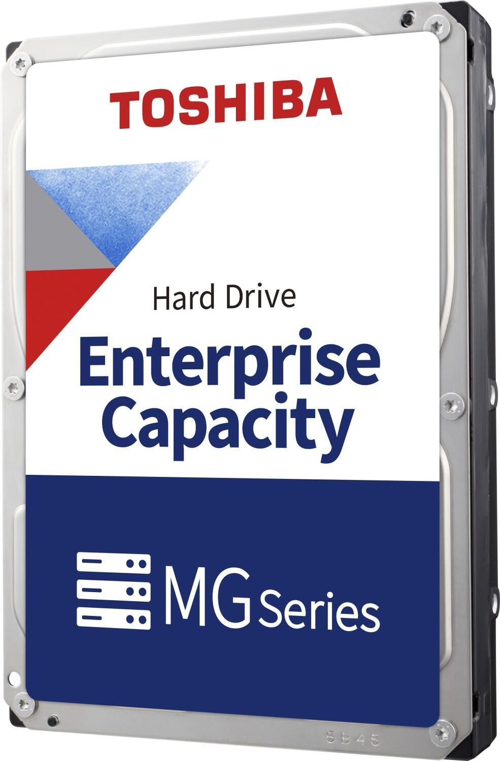 Toshiba MG10 - 22TB