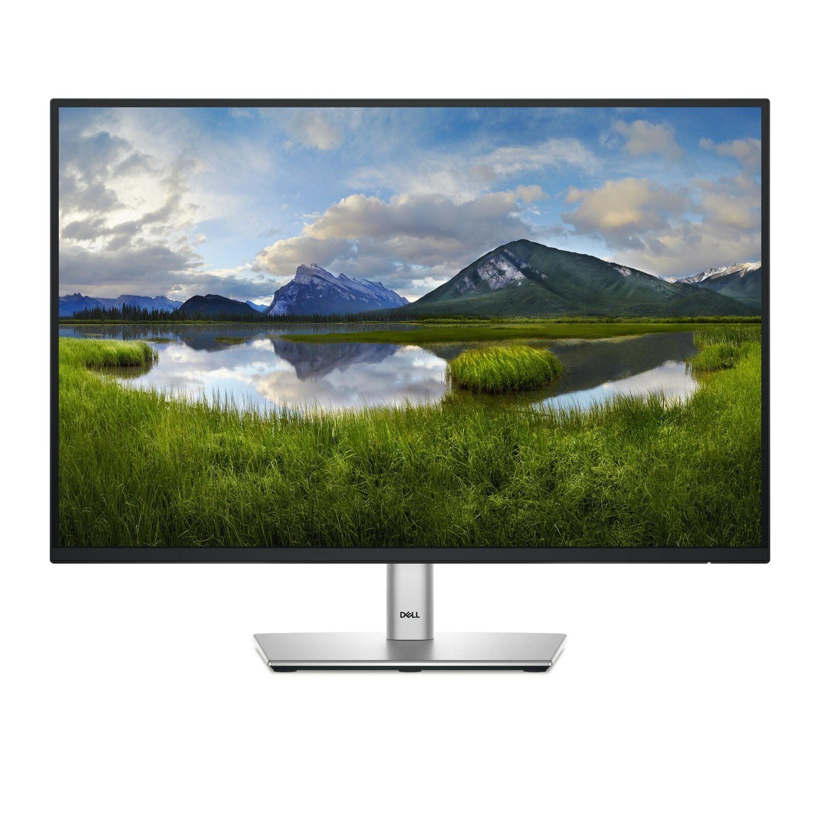 Dell P2425E Monitor (24.1 Zoll) 61,1cm