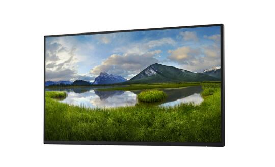 Dell P2425HWO Monitor (24 Zoll) 61cm