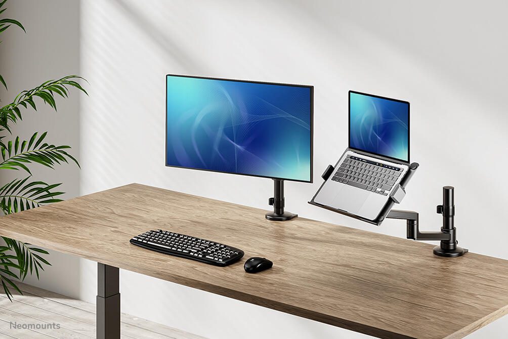 Neomounts DS20-425BL1 Full-Motion-Tischhalterung für 11,6-17,3' Laptops - Schwarz