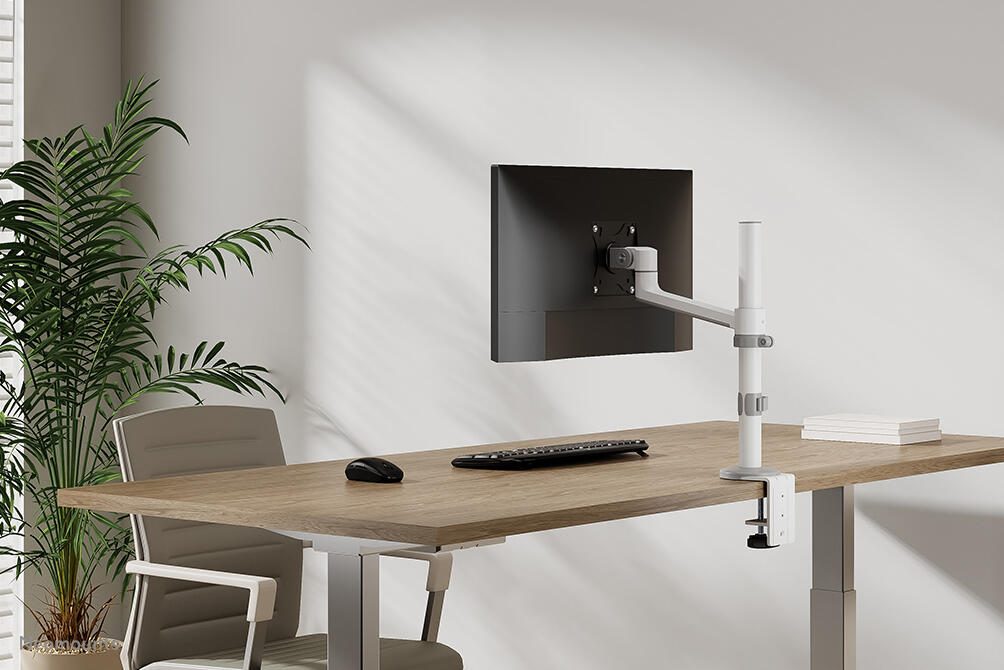 Neomounts DS60-425WH1 Monitor Tischhalterung