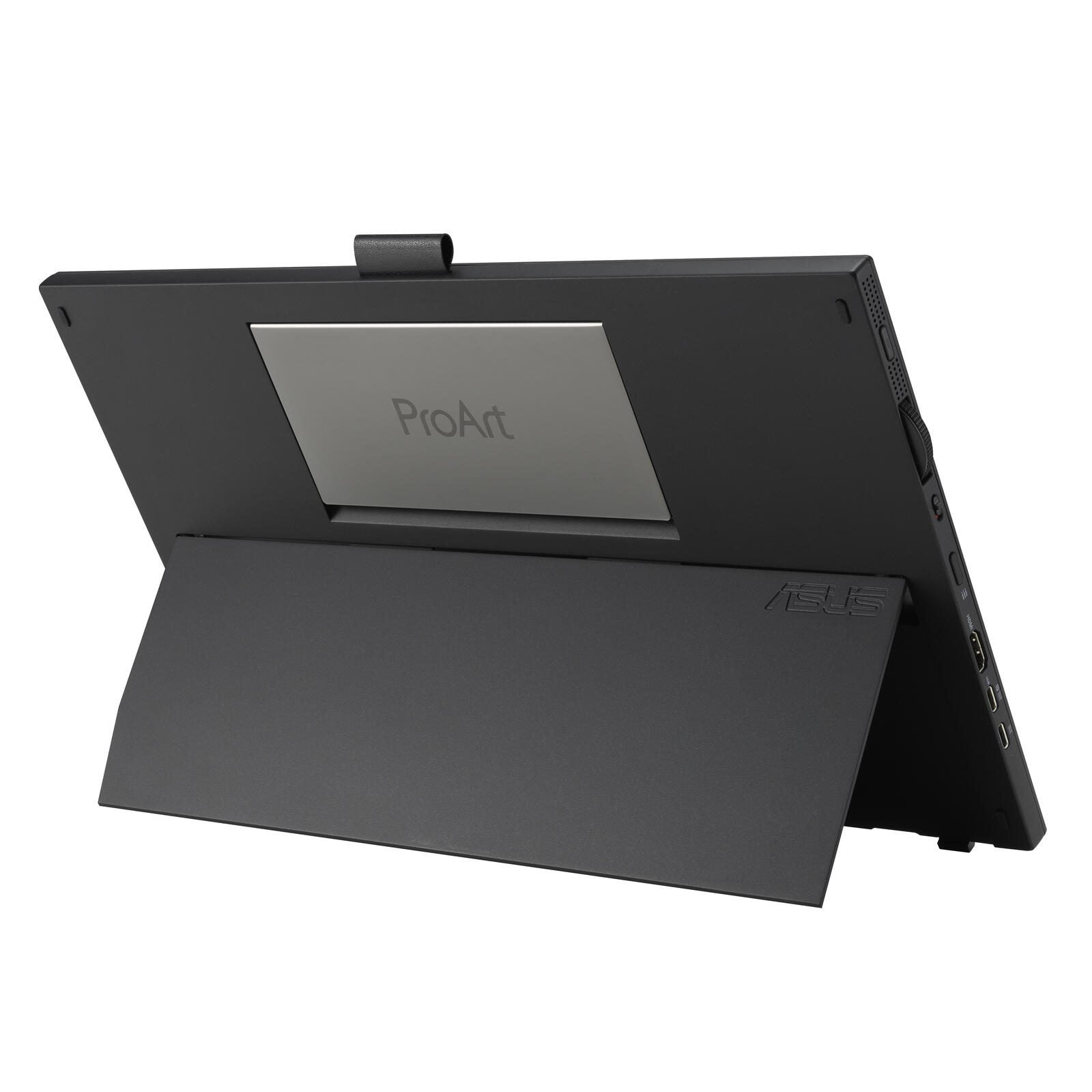 ASUS ProArt PA169CDV Touch-Monitor mit Stift 39,6 cm (15,6 Zoll)