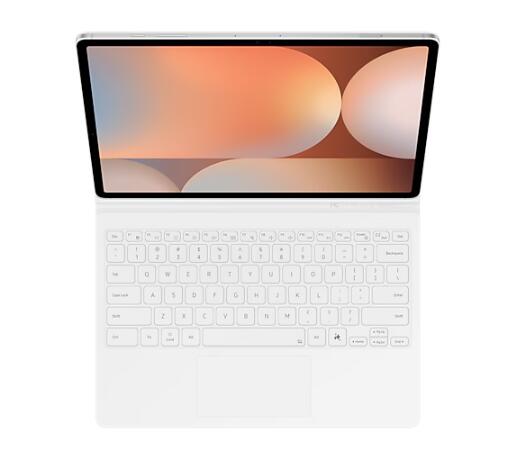B-WARE Samsung Book Cover Keyboard EF-DX825 für das Galaxy Tab S10+, S9+, S9 FE+ (White)