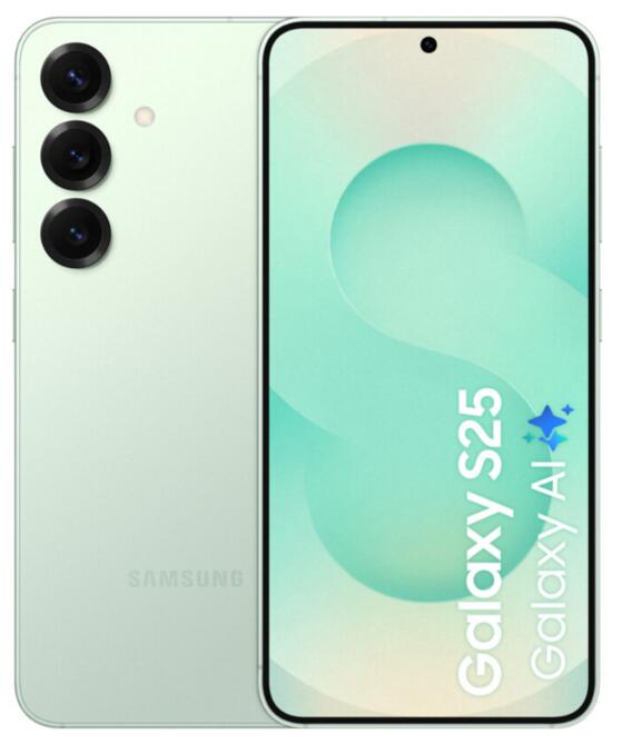 Samsung S931B Galaxy S25 5G 256 GB (Mint)