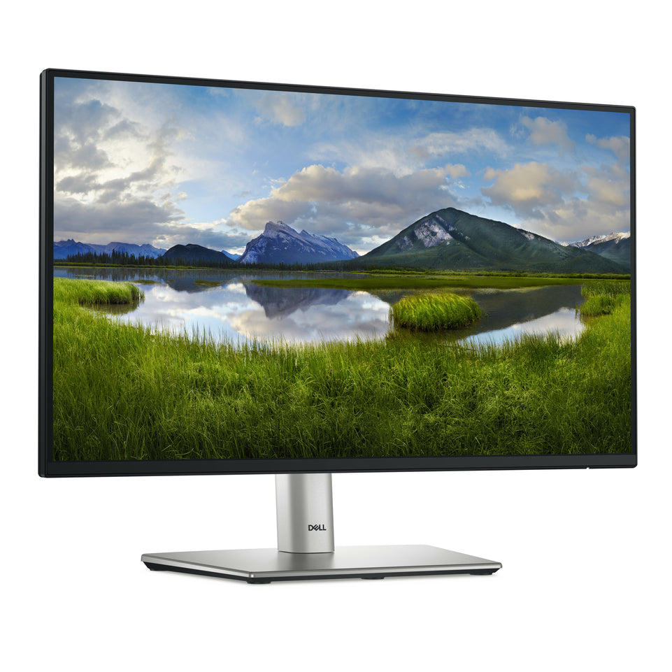 Dell 55.8cm (22")   P2225H  16:09 HDMI+DP+USB-C+VGA IPS retail