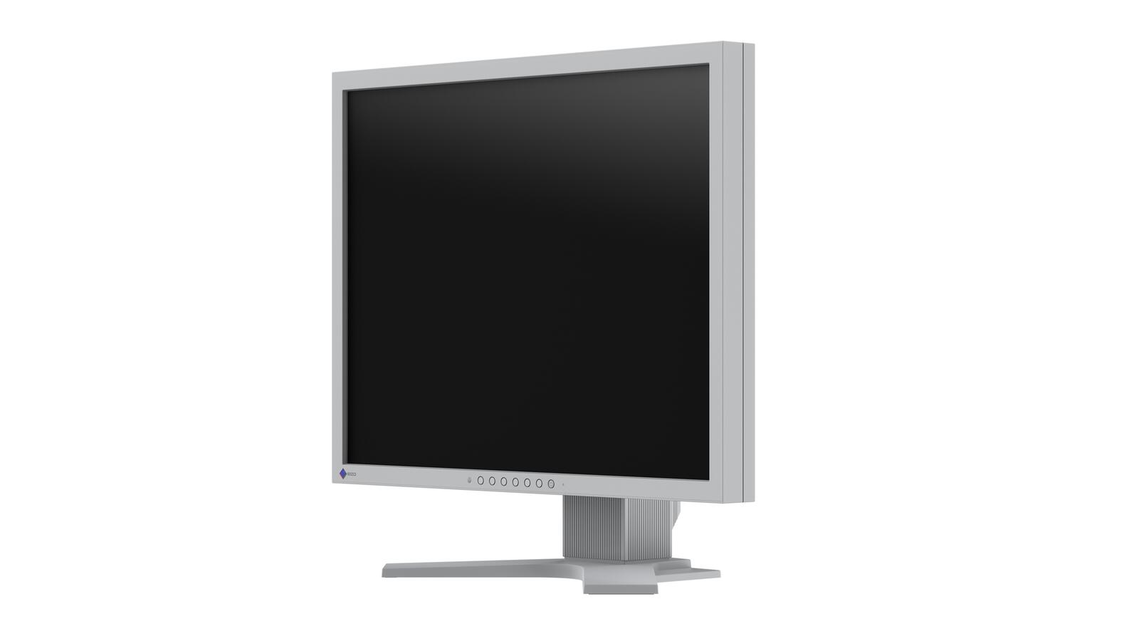 EIZO FlexScan S2134-GY LCD-Monitor 54 cm 21,3 Zoll