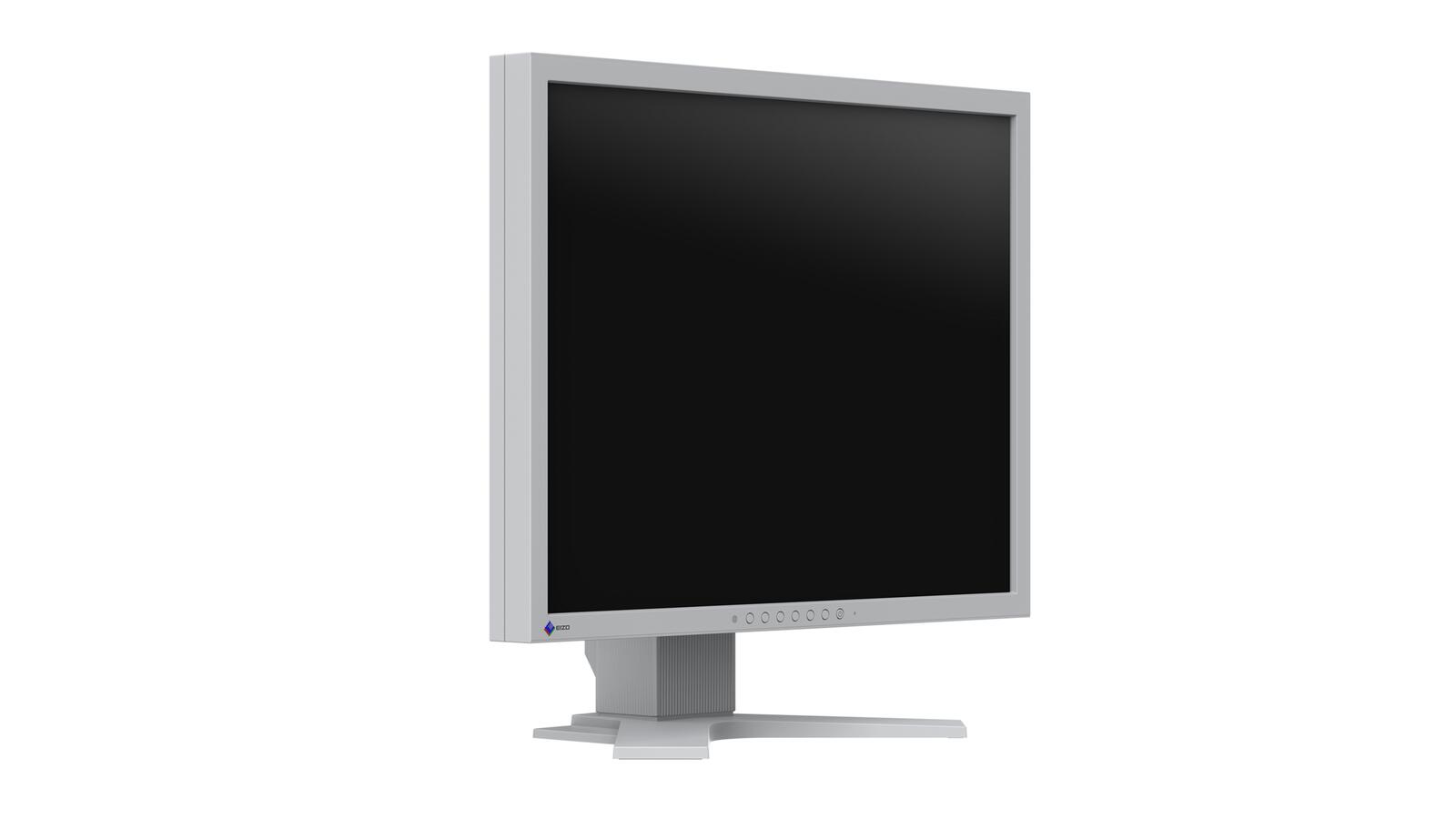 EIZO FlexScan S2134-GY LCD-Monitor 54 cm 21,3 Zoll