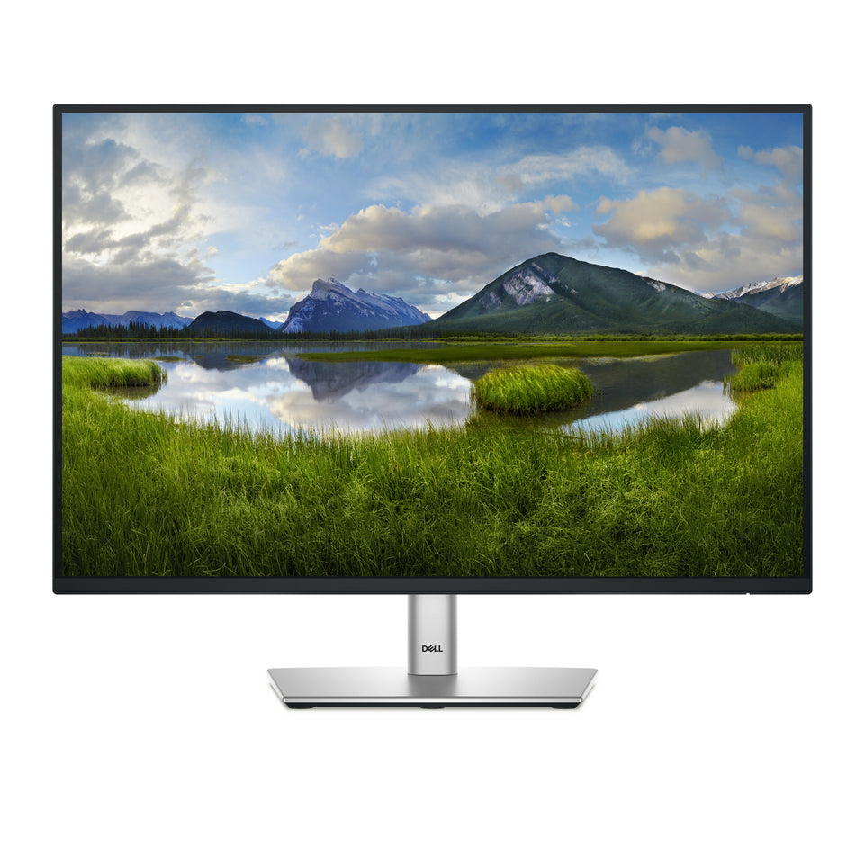 Dell 61.0cm (24")   P2425E 16:10 HDMI+DP+USB-C IPS Lift retail