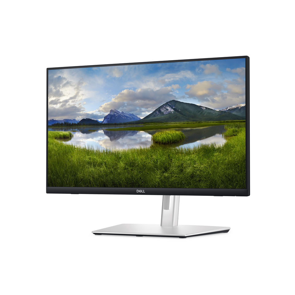 Dell 60.9cm (23,8") P2424HT 16:09 HDMI+DP+USB-C IPS Lift retail