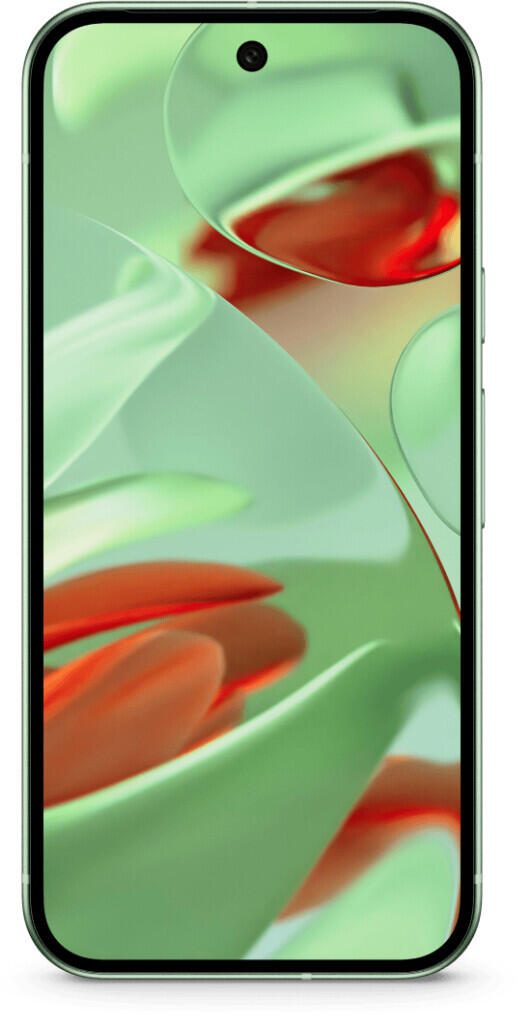 B-WARE Google Pixel 9 128GB Wintergreen