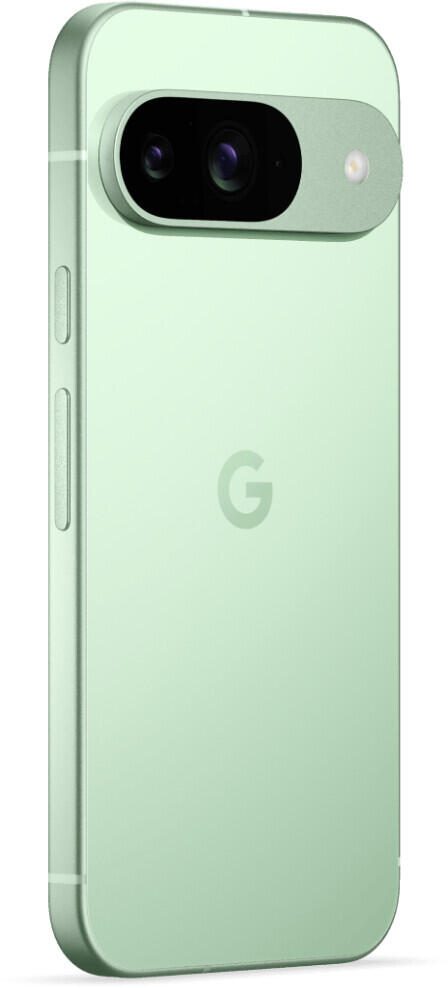 B-WARE Google Pixel 9 128GB Wintergreen