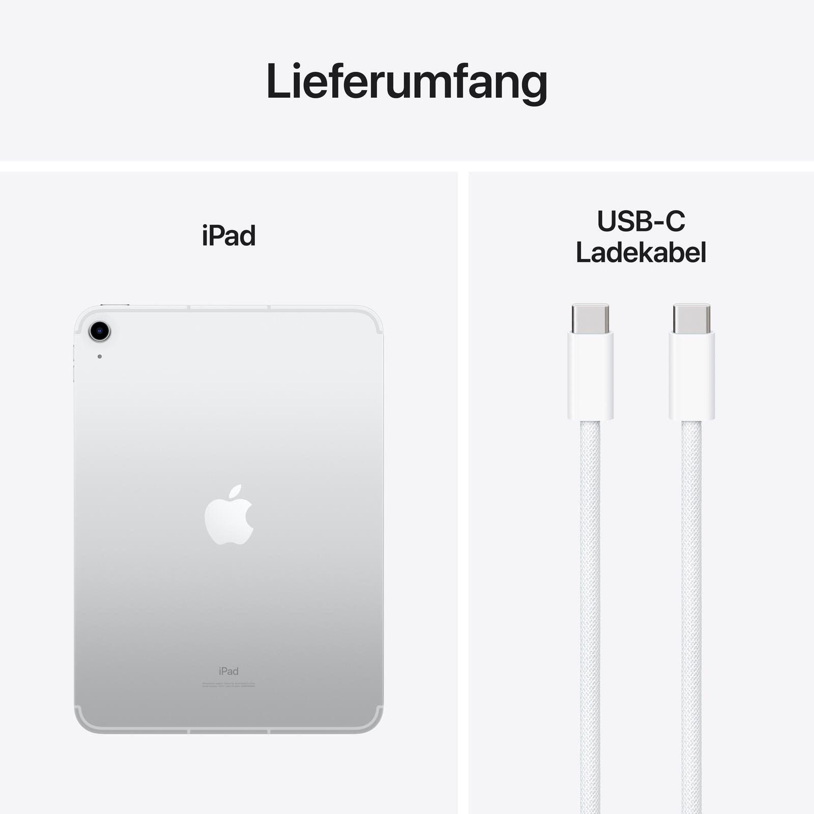Apple iPad 10. Generation + Cellular 27,69cm (10,9') 256GB silber