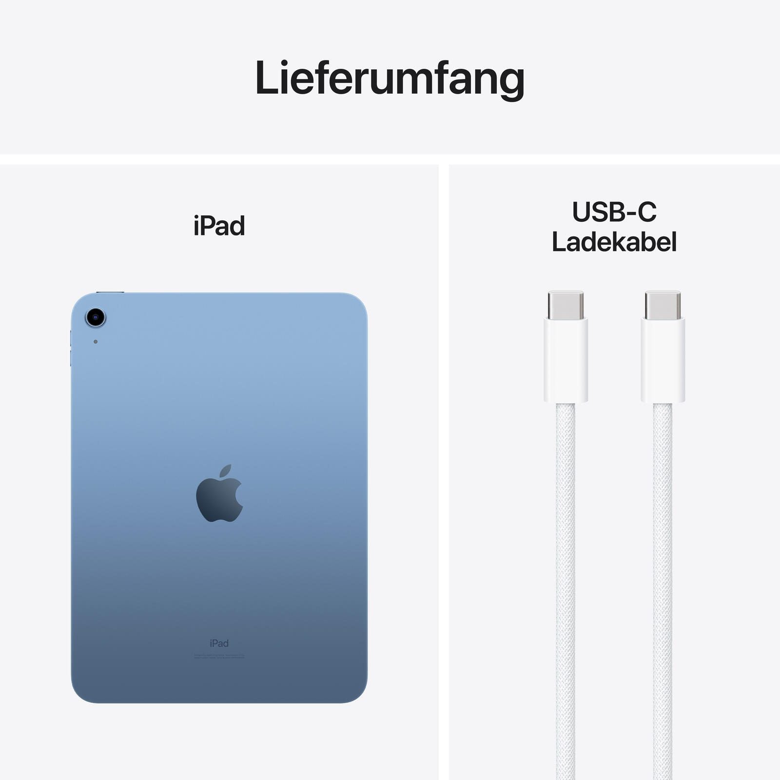 Apple iPad 10. Generation 27,69cm (10,9') 256GB blau