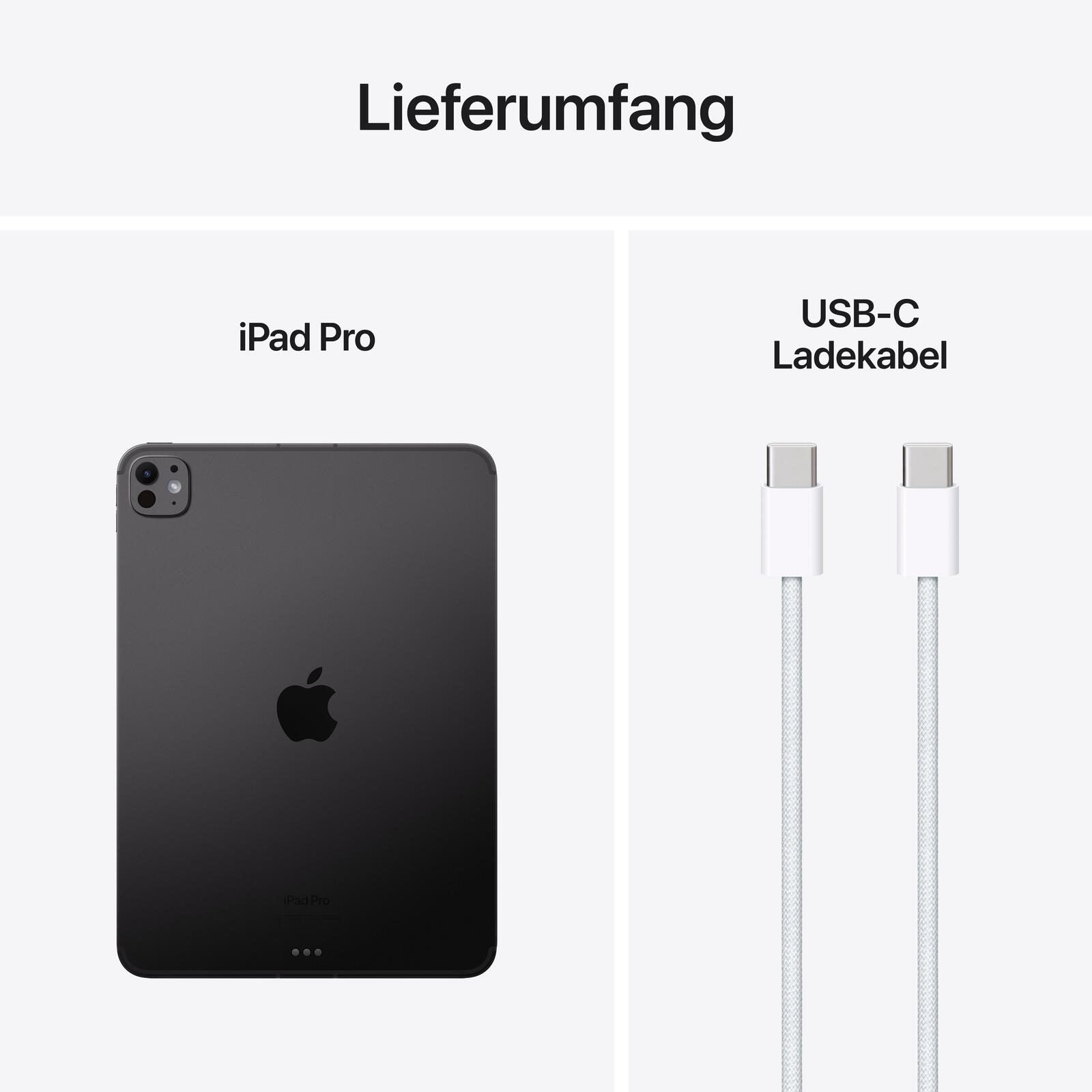 Apple iPad Pro 28,22cm (11') 5.Generation Wi-Fi + Cellular 1TB space schwarz