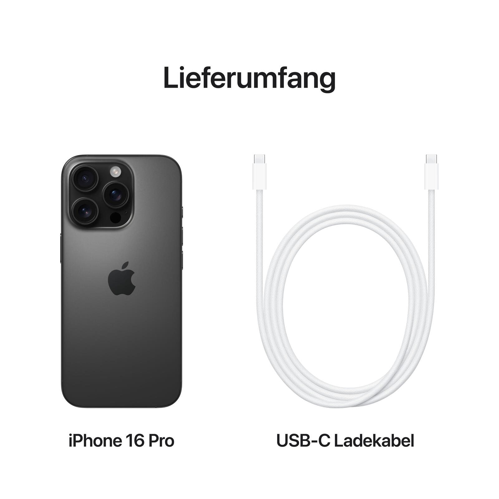 B-WARE Apple iPhone 16 Pro 1TB Schwarz Titan