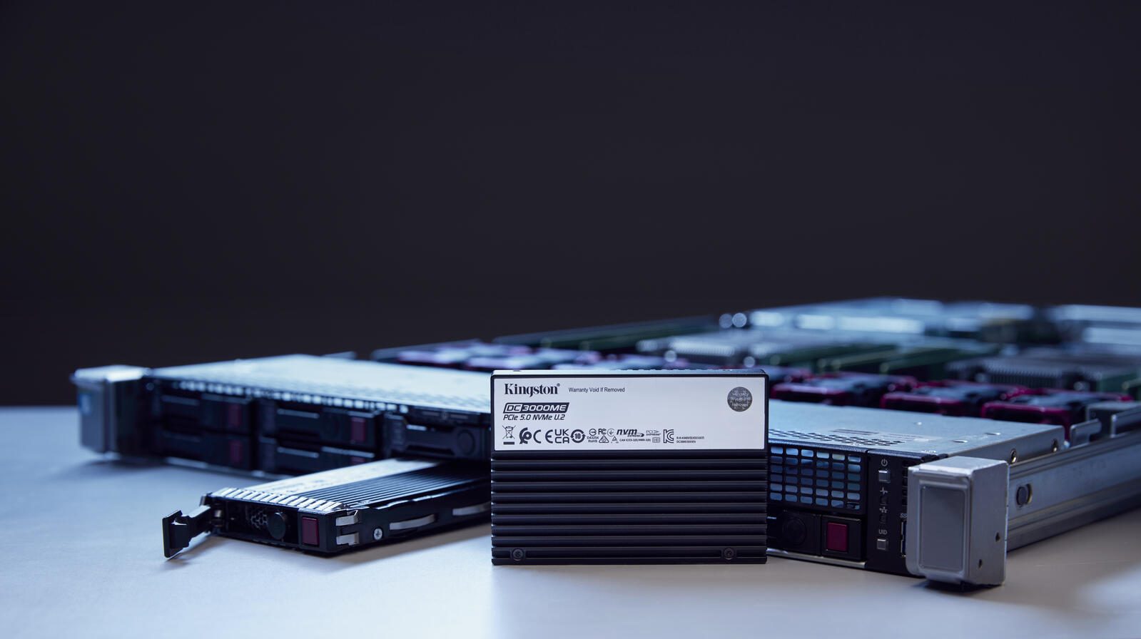 Kingston Technology 15,36TB DC3000ME U.2 PCIe 5.0 NVMe TCG Opal Enterprise SSD