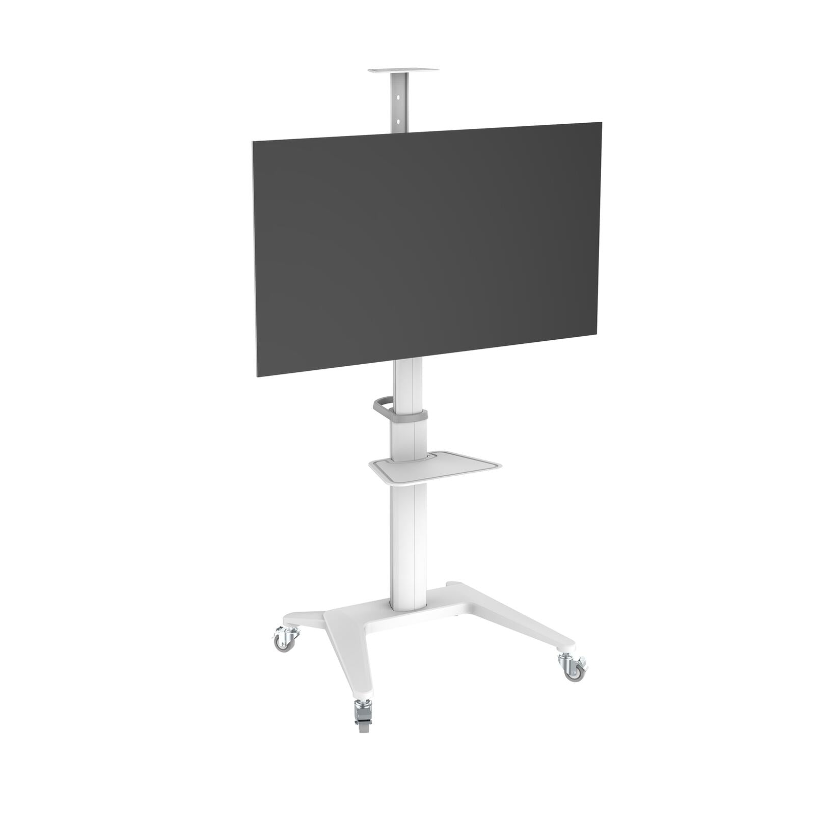 PureMounts® Premium TV Cart - Single Display bis 70', weiß