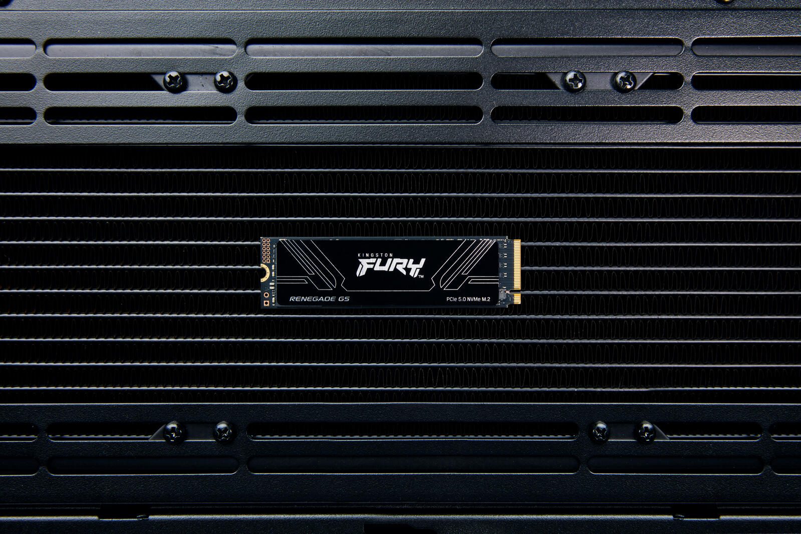 Kingston FURY RENEGADE G5 M.2 SSD - 2 TB