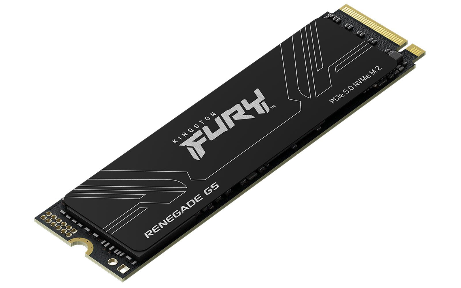 Kingston FURY RENEGADE G5 M.2 SSD - 2 TB
