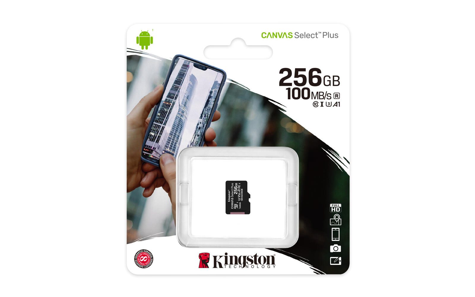 Kingston Canvas Select Plus Speicherkarte 256 GB