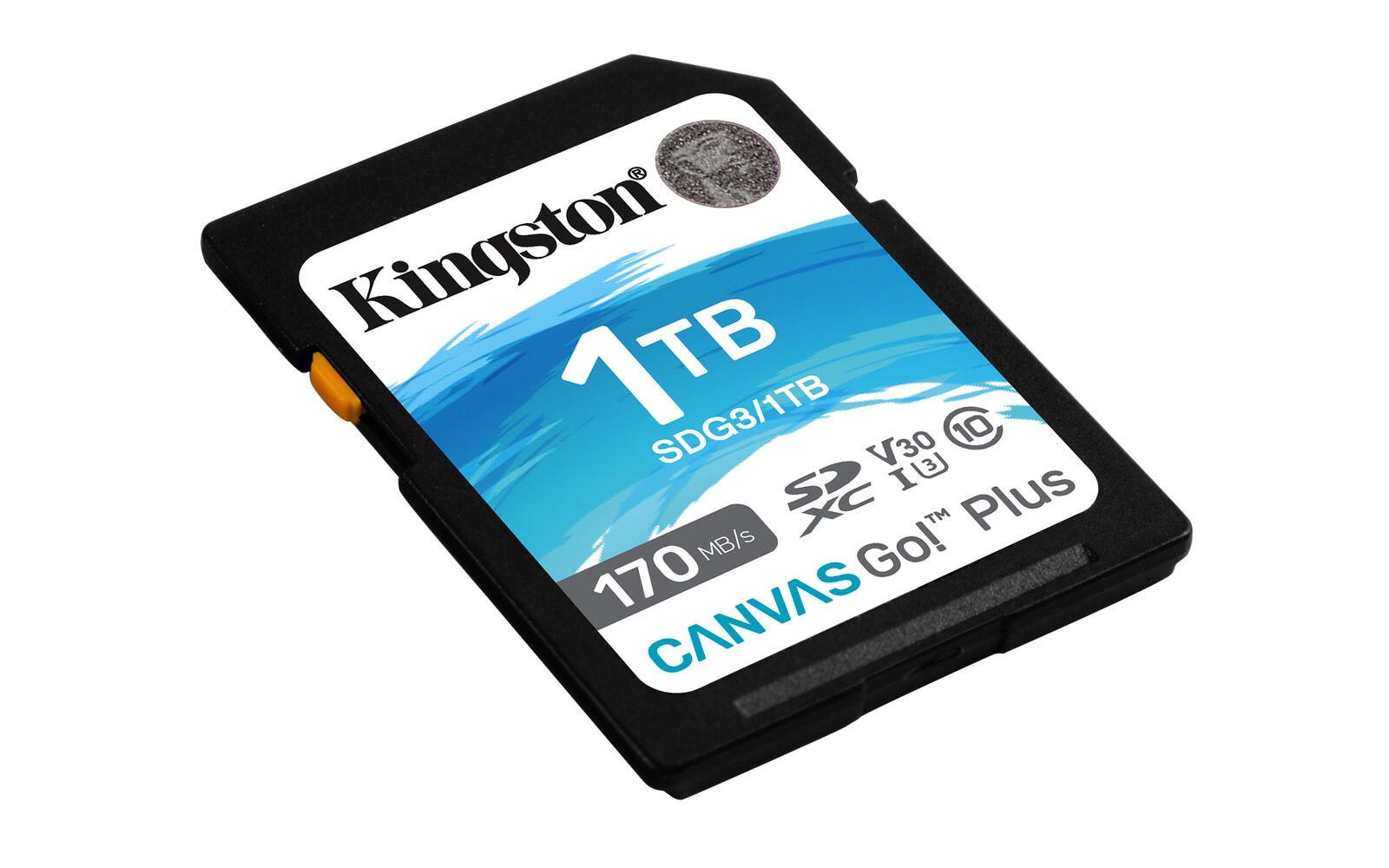 Kingston Canvas Go Plus Speicherkarte 1 TB
