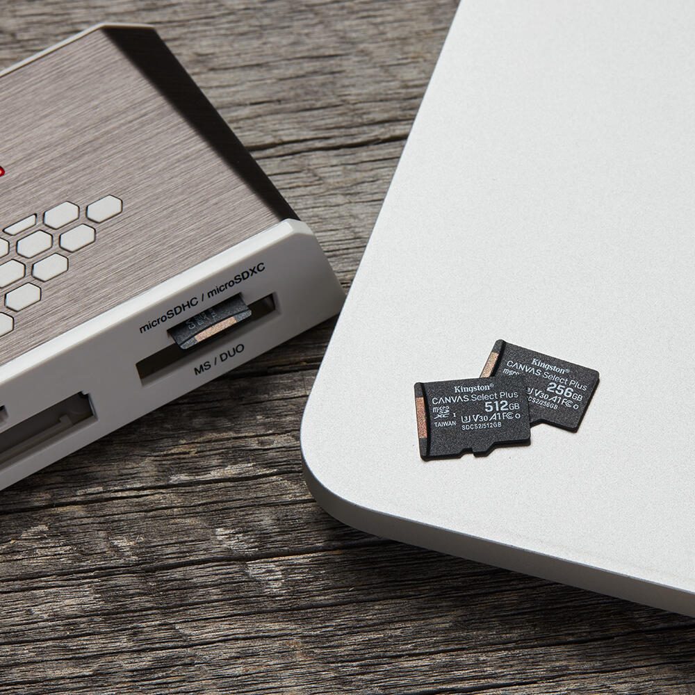 Kingston Canvas Select Plus Speicherkarte 256 GB