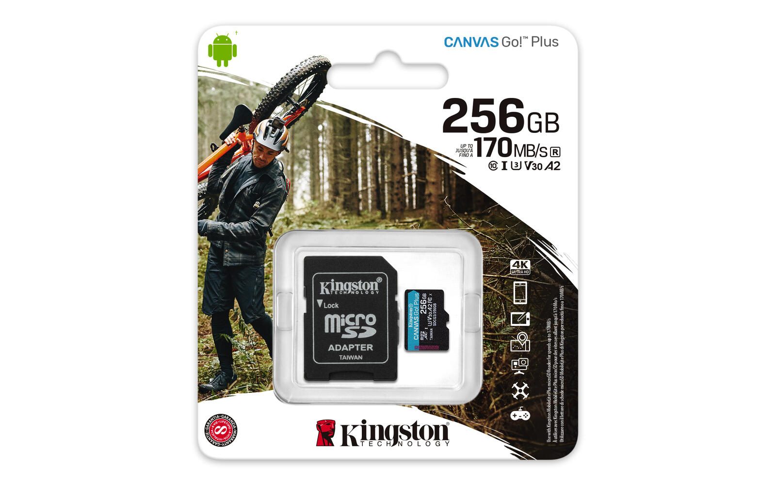 Kingston Canvas Go Plus Speicherkarte 256 GB, mit Adapter