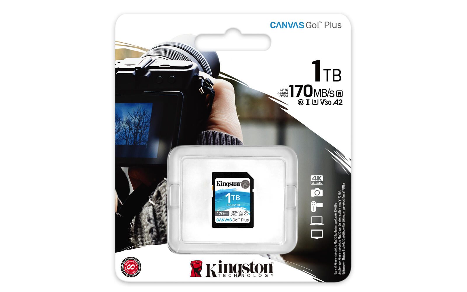 Kingston Canvas Go Plus Speicherkarte 1 TB