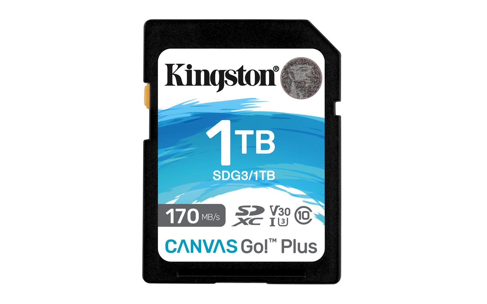 Kingston Canvas Go Plus Speicherkarte 1 TB