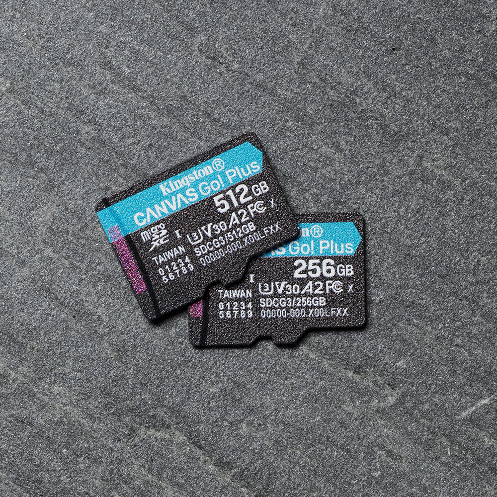 Kingston Canvas Go Plus Speicherkarte 256 GB, mit Adapter